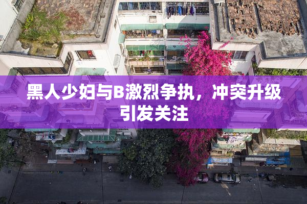 黑人少妇与B激烈争执，冲突升级引发关注