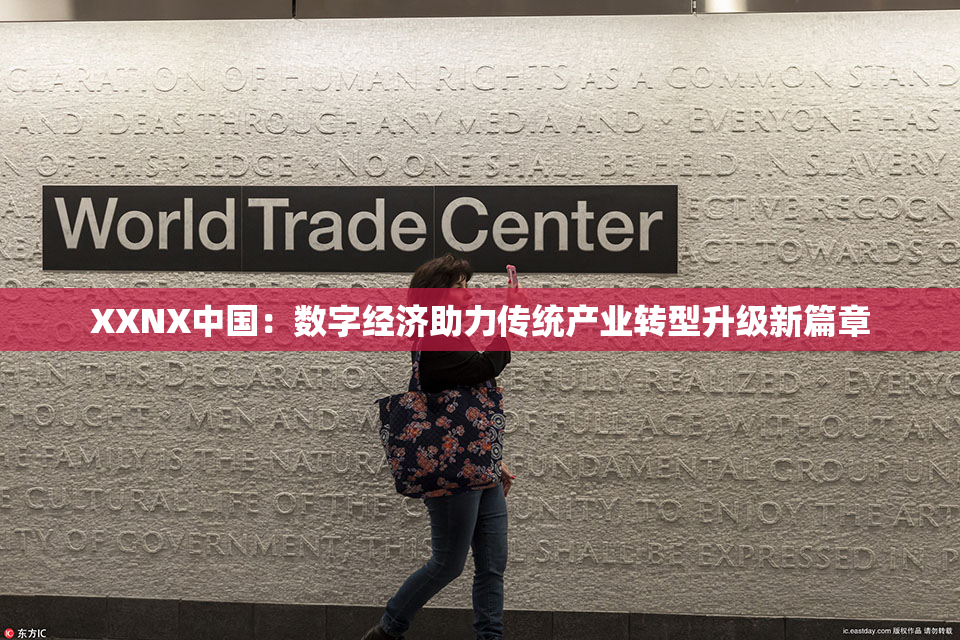 XXNX中国：数字经济助力传统产业转型升级新篇章