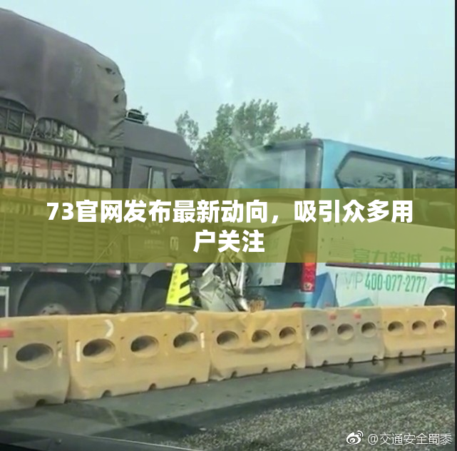 73官网发布最新动向，吸引众多用户关注