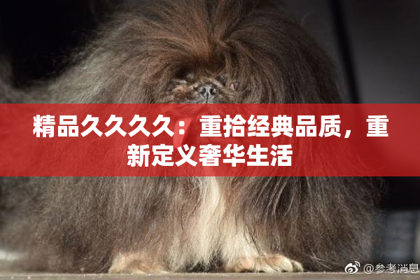 精品久久久久：重拾经典品质，重新定义奢华生活