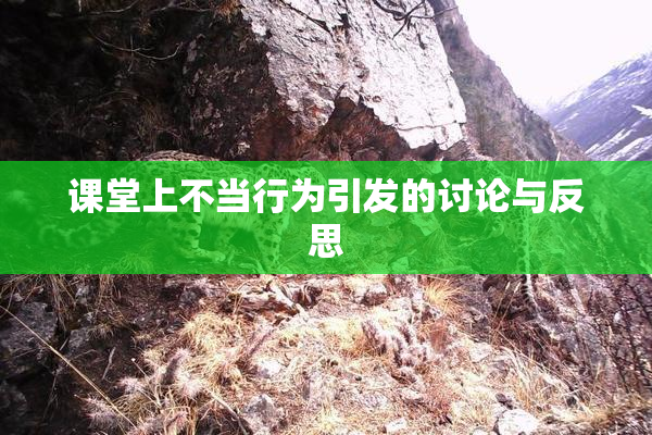 课堂上不当行为引发的讨论与反思