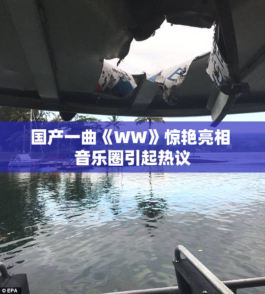 国产一曲《WW》惊艳亮相 音乐圈引起热议