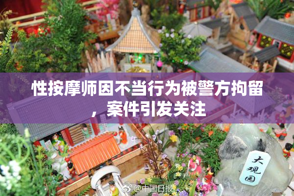 性按摩师因不当行为被警方拘留，案件引发关注