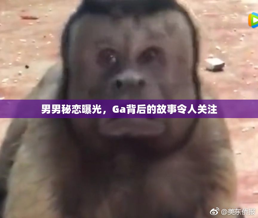男男秘恋曝光，Ga背后的故事令人关注