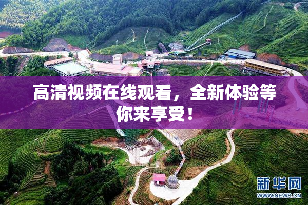 高清视频在线观看，全新体验等你来享受！