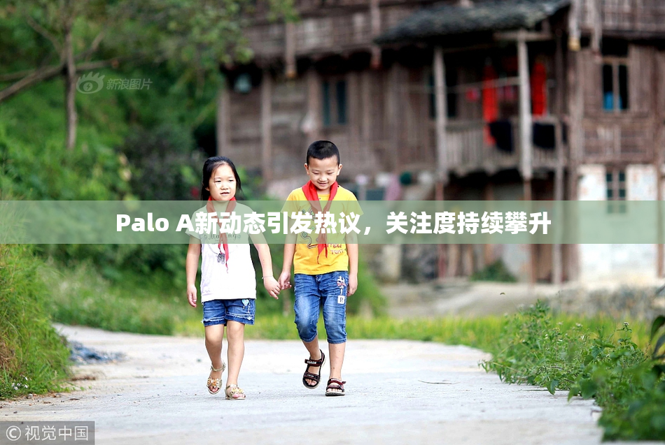 Palo A新动态引发热议，关注度持续攀升