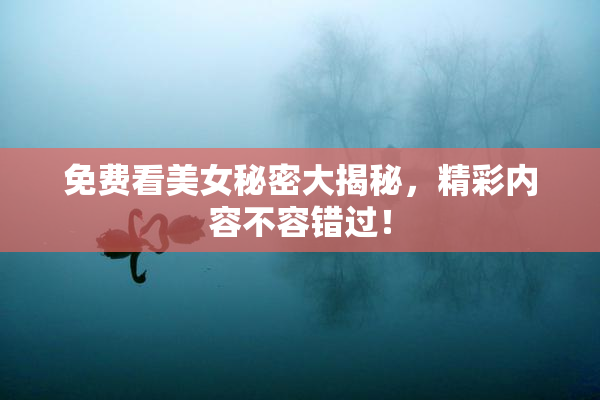 免费看美女秘密大揭秘，精彩内容不容错过！