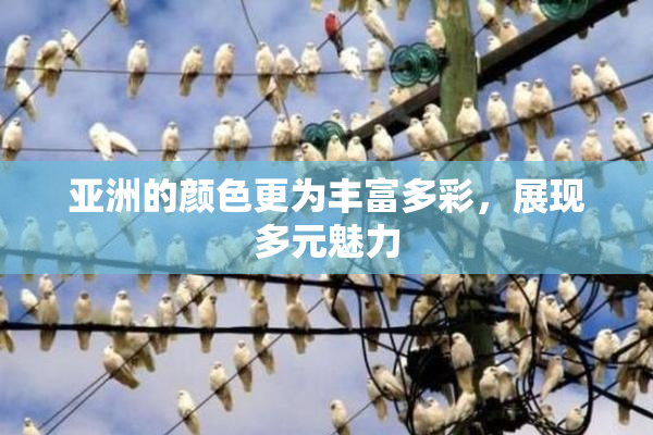 亚洲的颜色更为丰富多彩，展现多元魅力