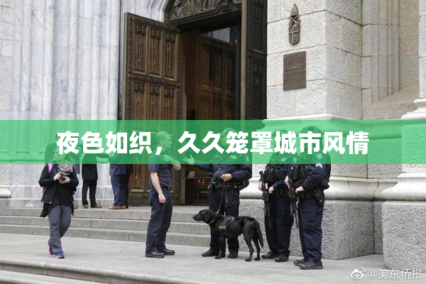 夜色如织，久久笼罩城市风情