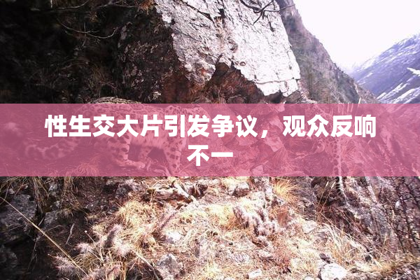 性生交大片引发争议，观众反响不一