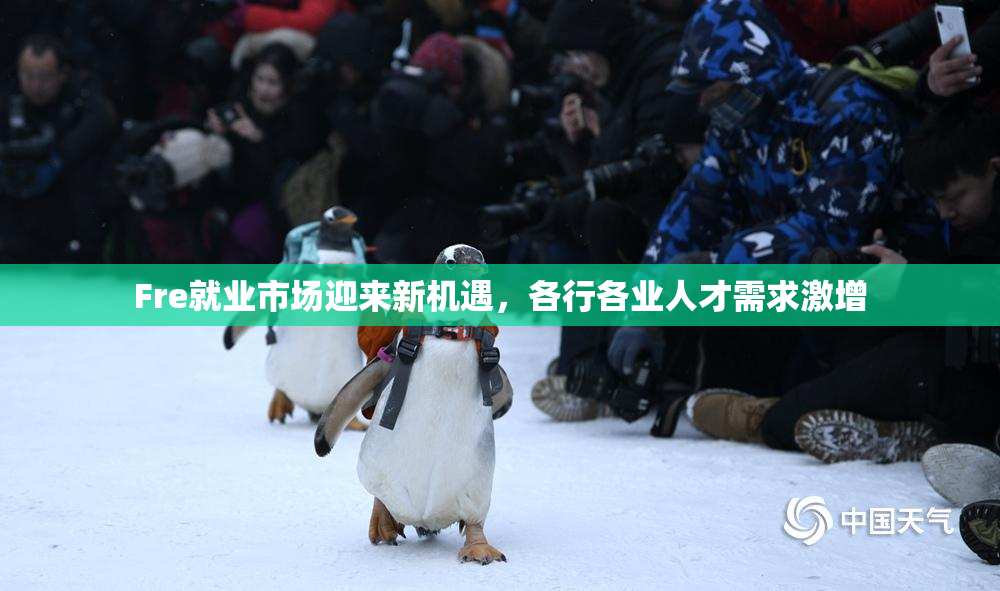 Fre就业市场迎来新机遇，各行各业人才需求激增