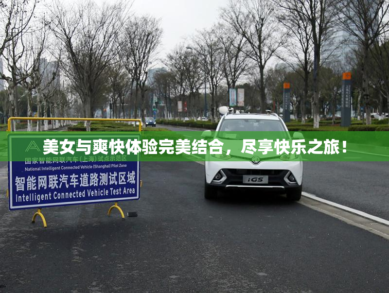 美女与爽快体验完美结合，尽享快乐之旅！