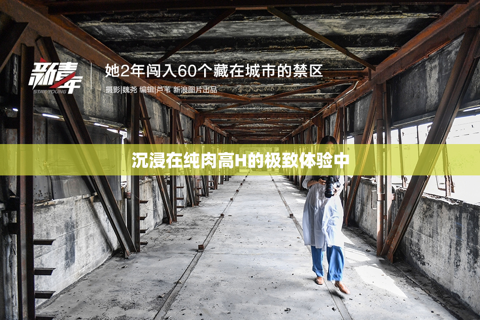 沉浸在纯肉高H的极致体验中