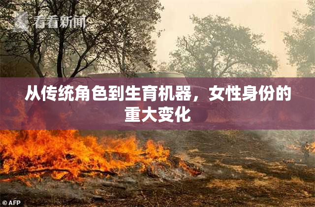 从传统角色到生育机器，女性身份的重大变化