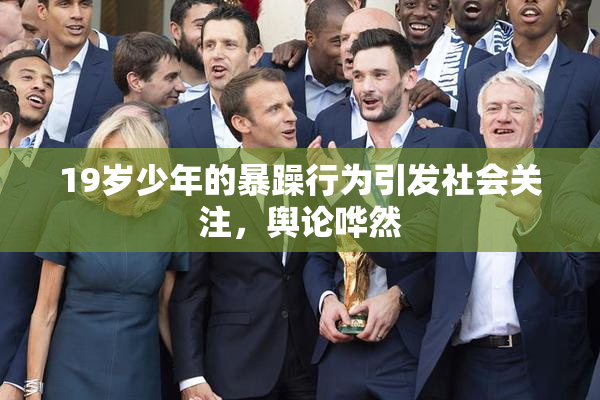19岁少年的暴躁行为引发社会关注，舆论哗然