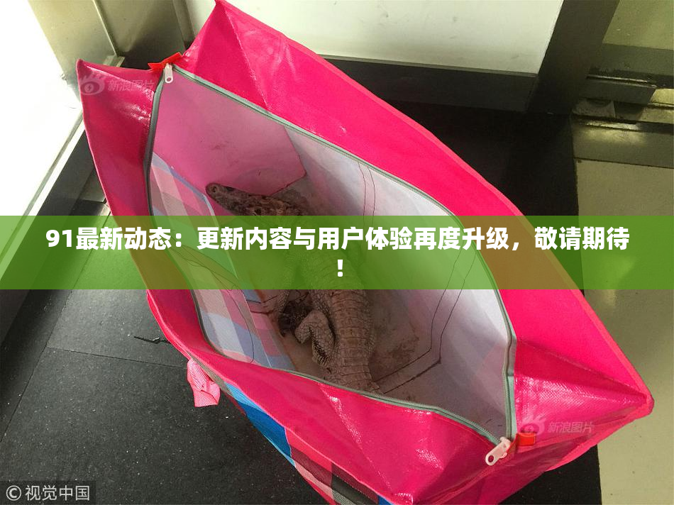 91最新动态：更新内容与用户体验再度升级，敬请期待！