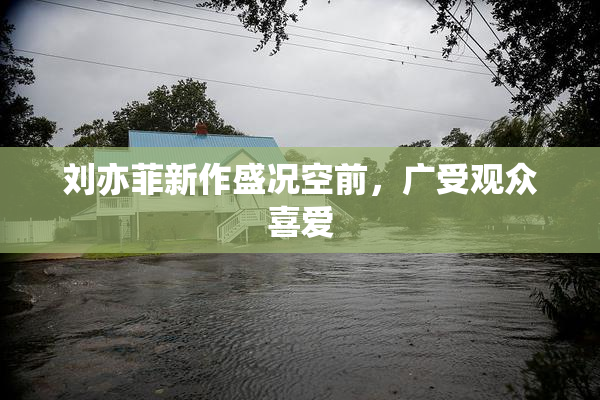 刘亦菲新作盛况空前，广受观众喜爱