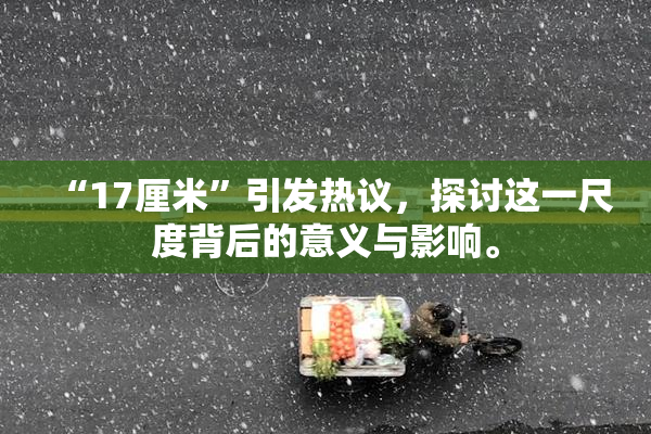“17厘米”引发热议，探讨这一尺度背后的意义与影响。