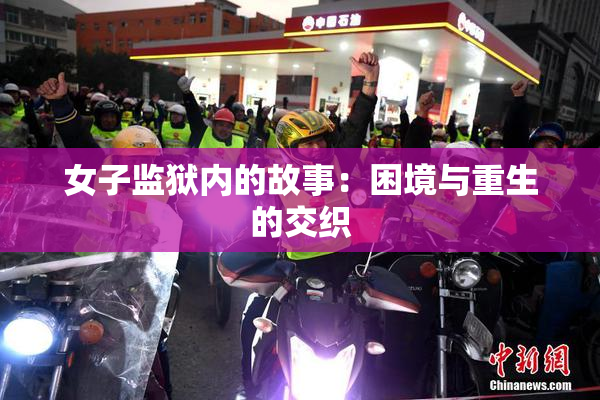 女子监狱内的故事：困境与重生的交织