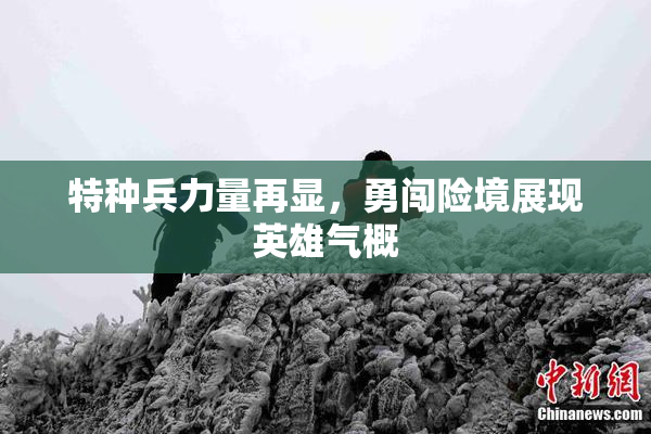 特种兵力量再显，勇闯险境展现英雄气概