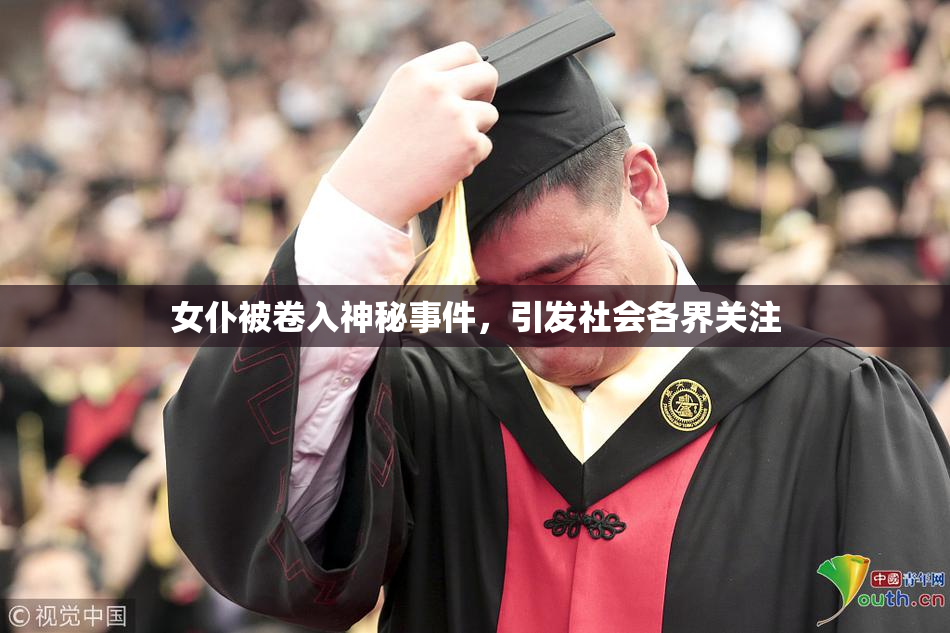 女仆被卷入神秘事件，引发社会各界关注