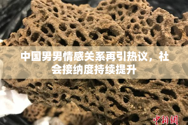 中国男男情感关系再引热议，社会接纳度持续提升