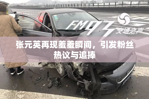 张元英再现羞羞瞬间，引发粉丝热议与追捧