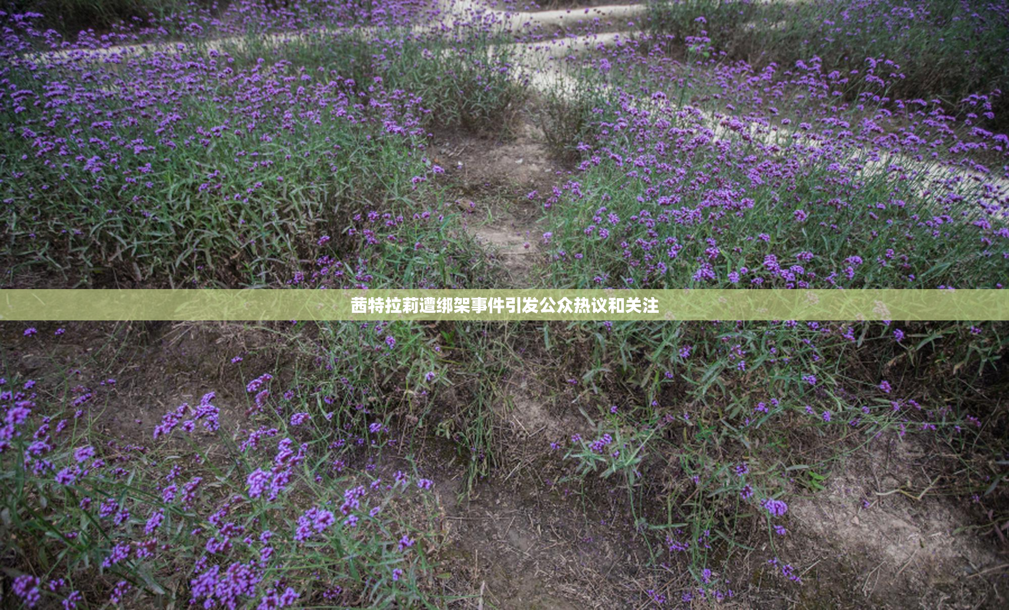 茜特拉莉遭绑架事件引发公众热议和关注