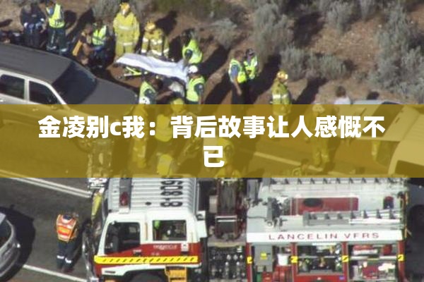 金凌别c我：背后故事让人感慨不已