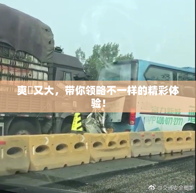 爽擼又大，带你领略不一样的精彩体验！