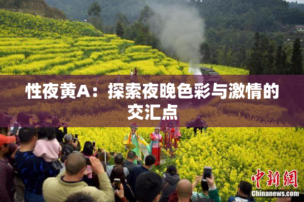 性夜黄A：探索夜晚色彩与激情的交汇点