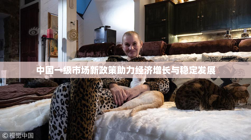 中国一级市场新政策助力经济增长与稳定发展