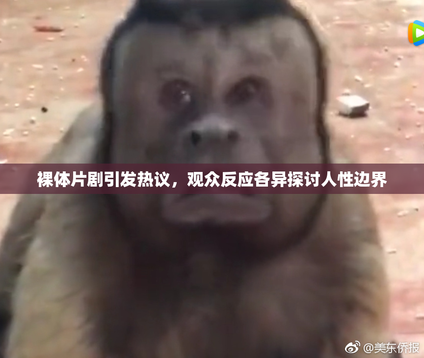 裸体片剧引发热议，观众反应各异探讨人性边界