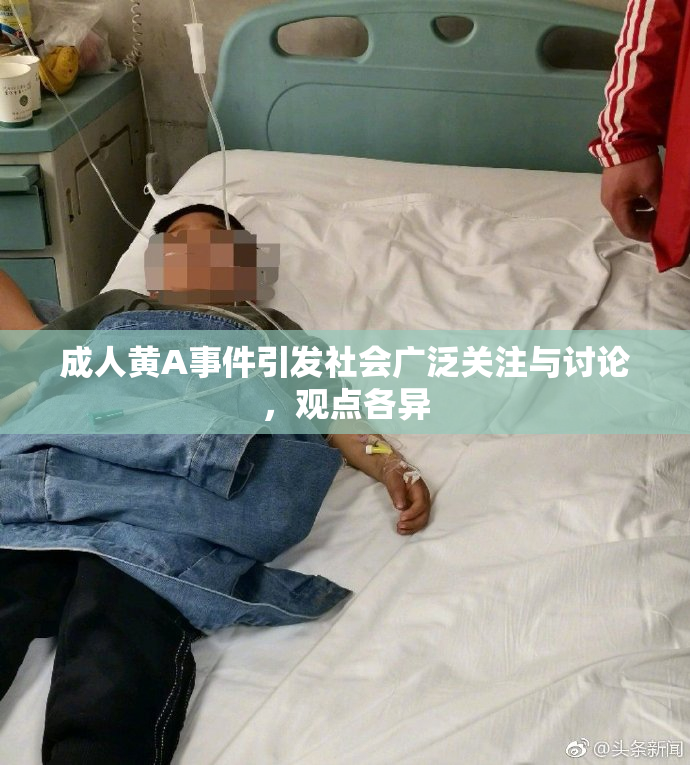 成人黄A事件引发社会广泛关注与讨论，观点各异