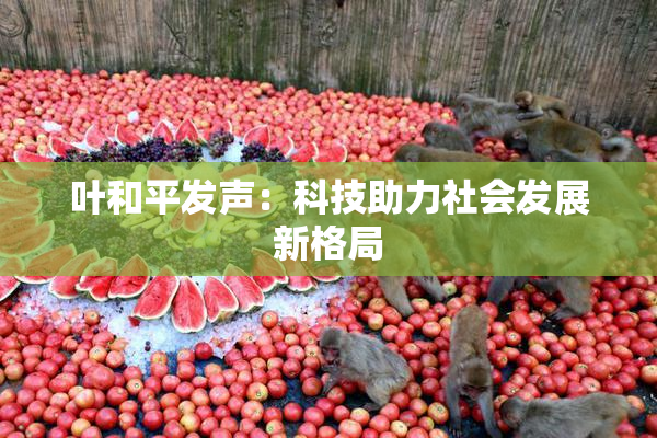 叶和平发声：科技助力社会发展新格局