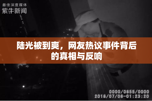 陆光被到爽，网友热议事件背后的真相与反响