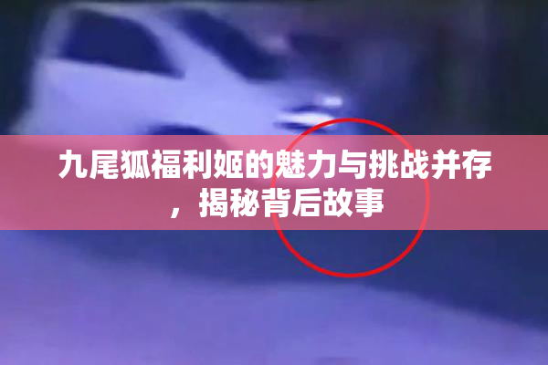 九尾狐福利姬的魅力与挑战并存，揭秘背后故事
