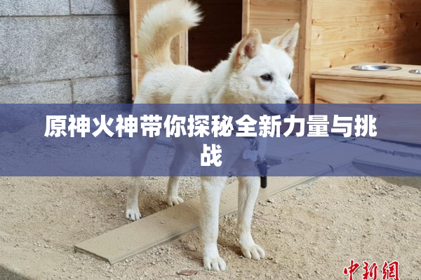 原神火神带你探秘全新力量与挑战