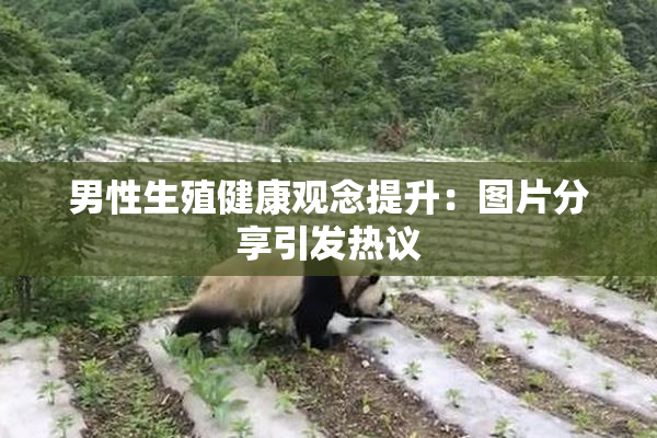 男性生殖健康观念提升：图片分享引发热议