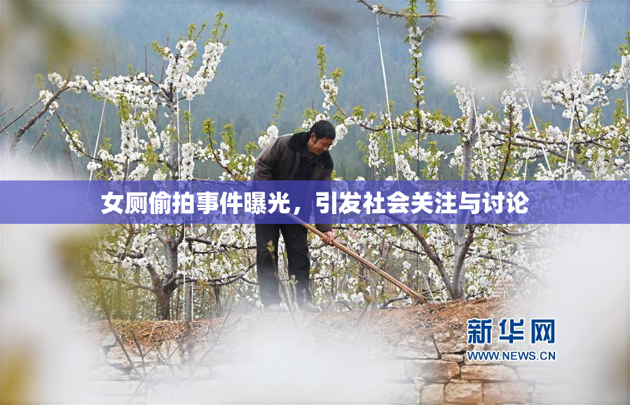女厕偷拍事件曝光，引发社会关注与讨论