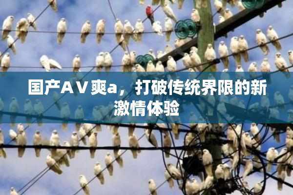 国产AⅤ爽a，打破传统界限的新激情体验