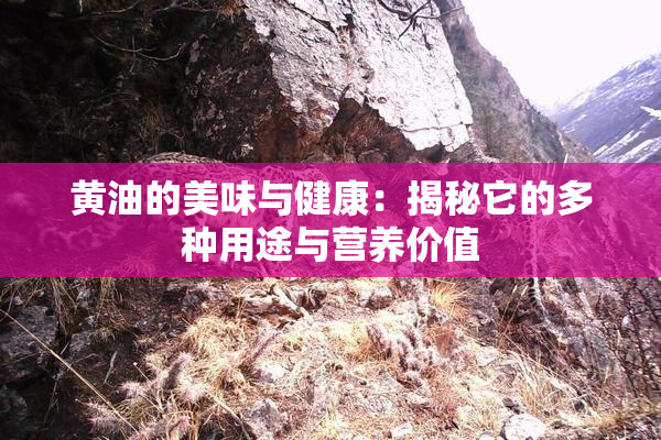 黄油的美味与健康：揭秘它的多种用途与营养价值