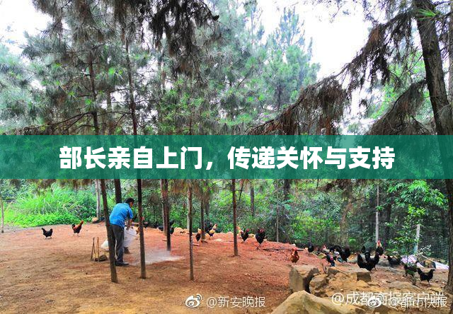 部长亲自上门，传递关怀与支持