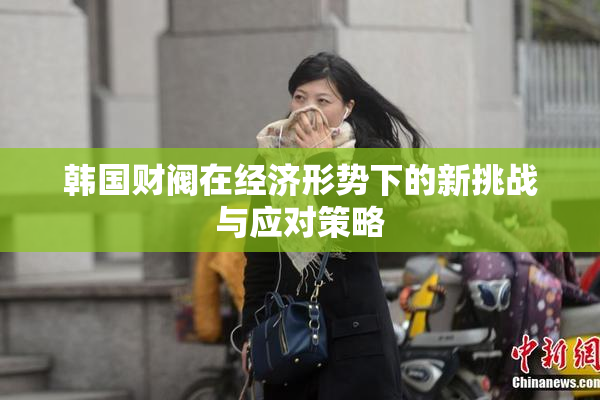 韩国财阀在经济形势下的新挑战与应对策略