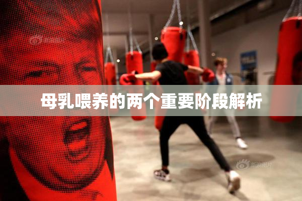 母乳喂养的两个重要阶段解析