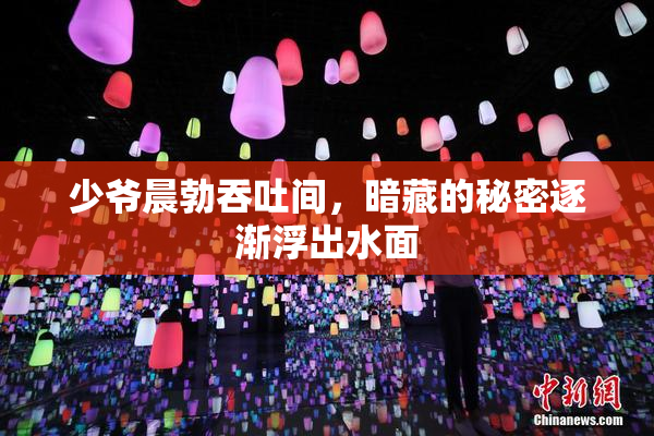 少爷晨勃吞吐间，暗藏的秘密逐渐浮出水面