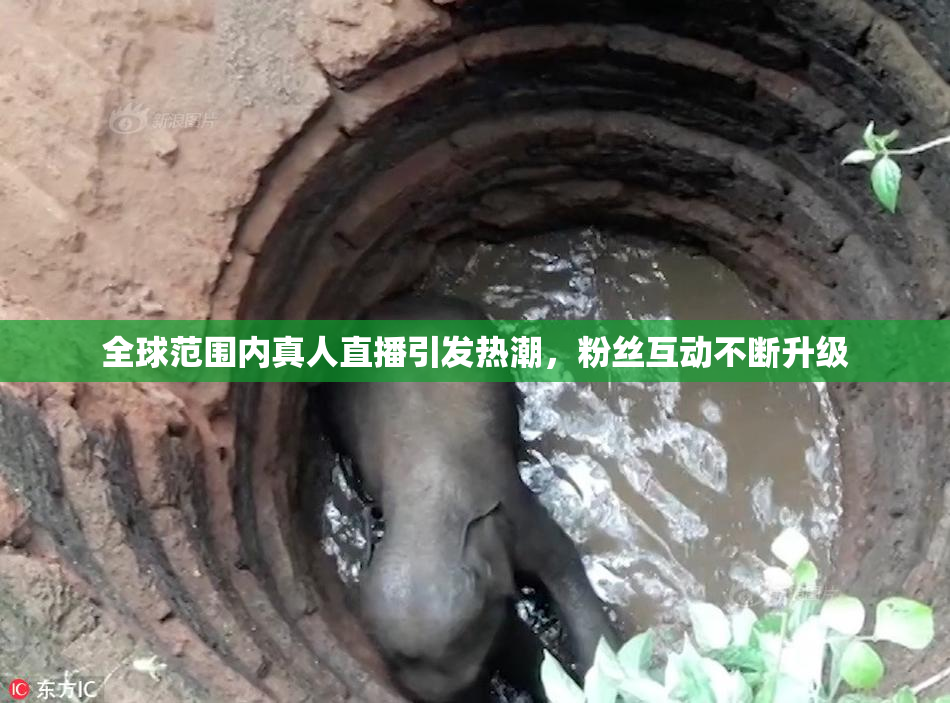 全球范围内真人直播引发热潮，粉丝互动不断升级