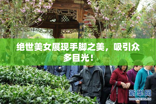 绝世美女展现手脚之美，吸引众多目光！