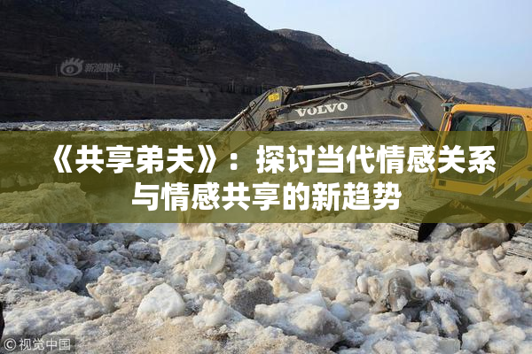 《共享弟夫》：探讨当代情感关系与情感共享的新趋势