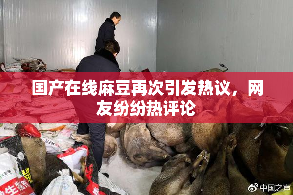 国产在线麻豆再次引发热议，网友纷纷热评论